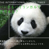 パンダもバイリンガルになるには苦労する？ アメリカ生まれは、英語。パンダの生活言語問題とは。